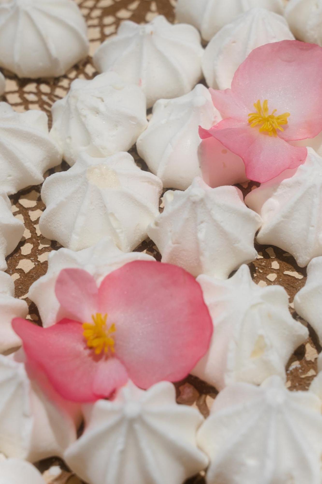 Mar Fortaleza (Ceara)